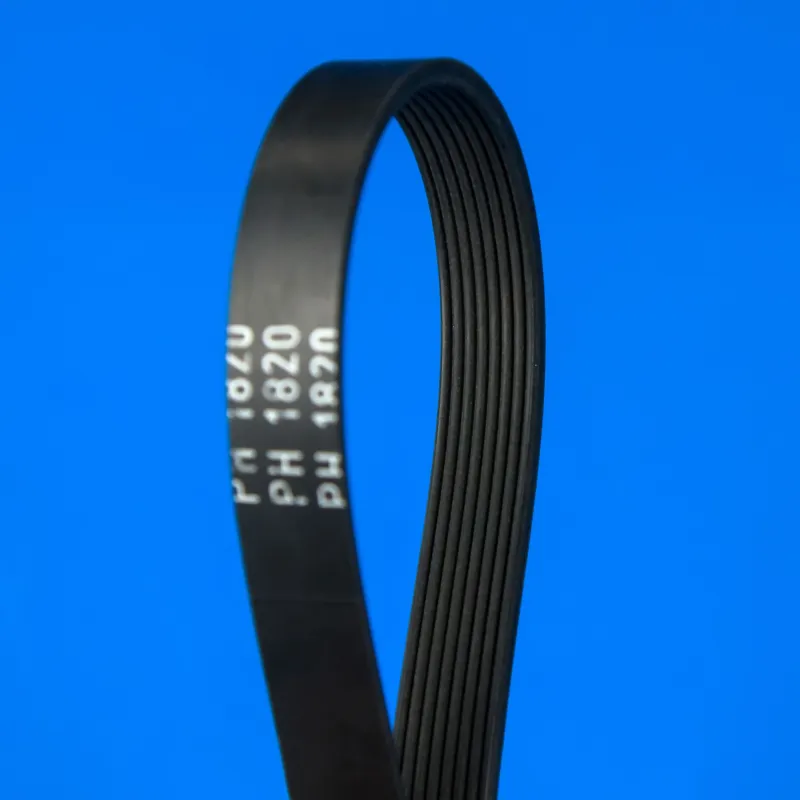 Ремінь для сушильної машини Optibelt 1820 H8 чорний — фото 3
