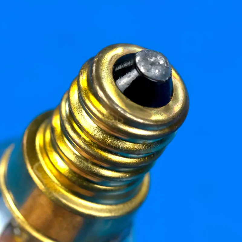 Лампочка для духовки Electrolux 3051725244 — фото 4