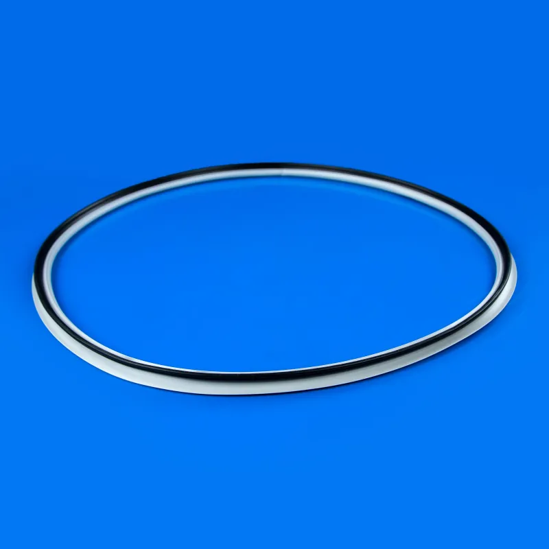 Ущільнювальна гума дверей сушильної машини Whirlpool 481010713648 — фото 2