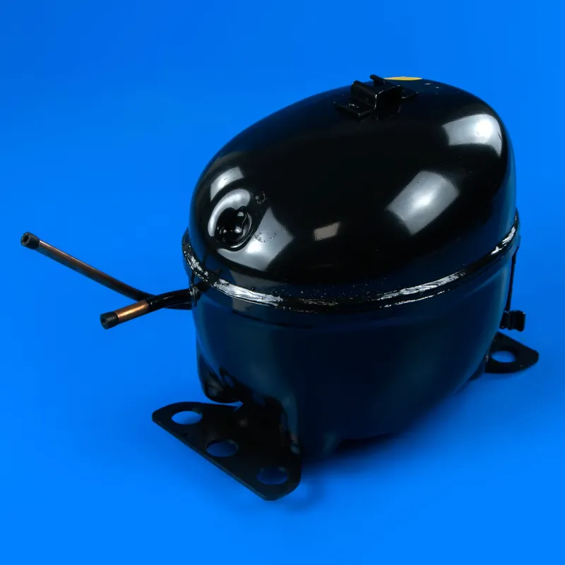 Компресор для холодильника Bosch 145386 — фото 3