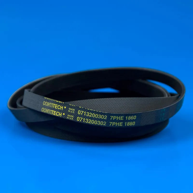 Ремінь для сушильної машини Ariston C00095658 1860 H7 EL Original — фото 2