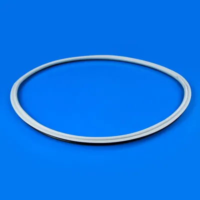 Ущільнювальна гума дверей сушильної машини Whirlpool 481010713648