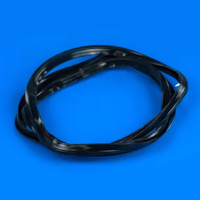 Ущільнювач дверей Ariston C00311697