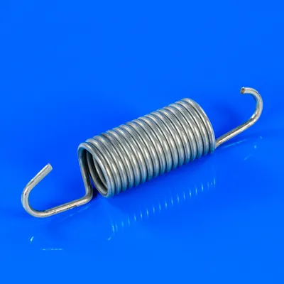 Пружина для пральної машини Bosch 069605