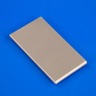 Кришка відсіку меленої кави Philips Saeco 0313.008.770 для кавоварки