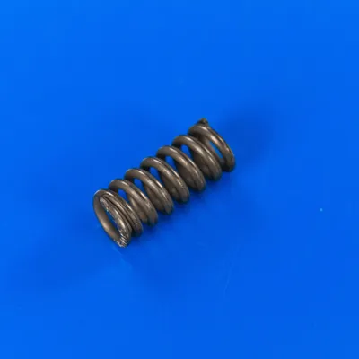 Пружина нижнього тримача жорна кавомолки Philips Saeco 126765517