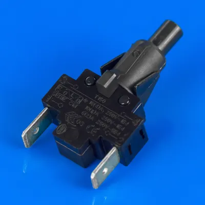 Кнопка розпалу для плити Indesit C00045793
