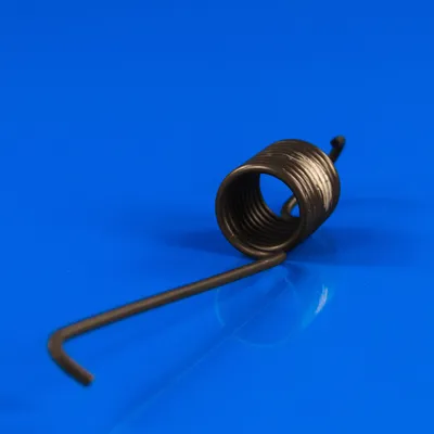 Пружина бака Ariston C00096195