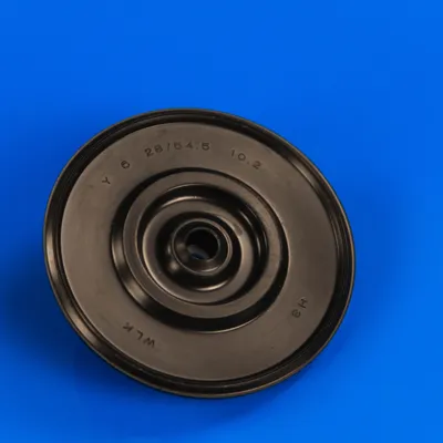 Сальник (манжет) 6х28/54х10,2 для насоса Bosch Siemens
