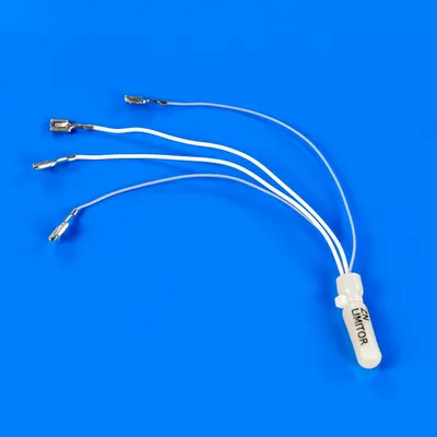 Оригінальний термостат для плити Electrolux 3872079029
